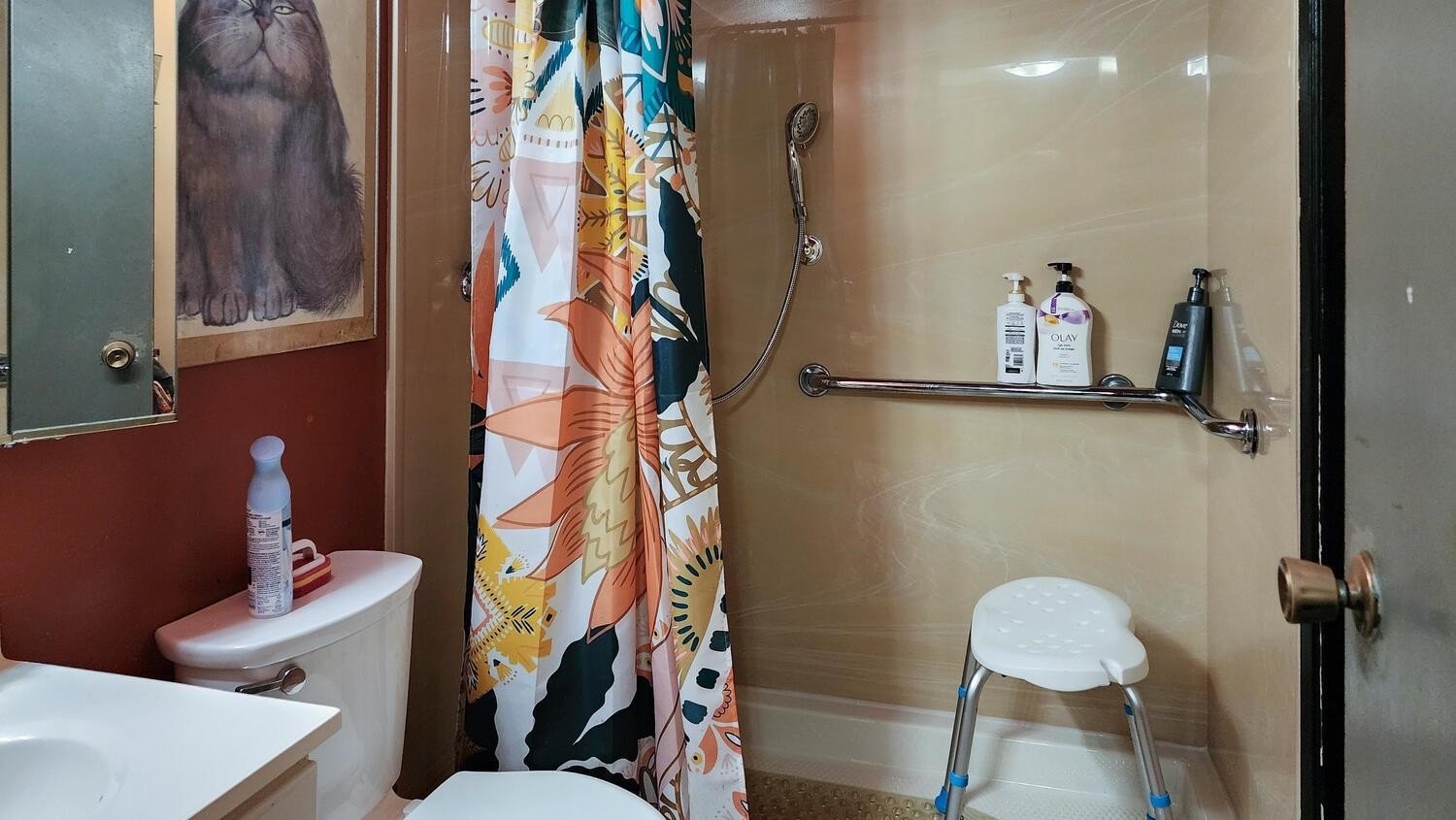 Image 1