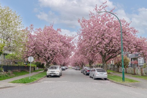 D-3439 43Rd Avenue E, Vancouver, BC 