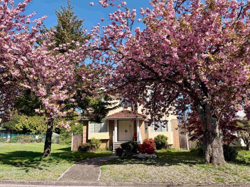 8110 Osler Street, Vancouver, BC 