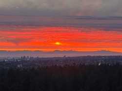 2506-6468 Willingdon Avenue Burnaby, BC V5H 0L3