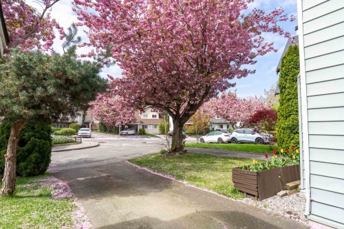 11764 Yoshida Court, Richmond, BC 