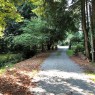4163 Cedar Drive, Coquitlam, BC 