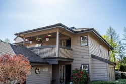 836 Roche Point Drive  North Vancouver, BC V7H 2T9