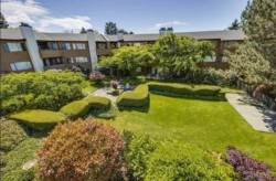 126-7295 Moffatt Road Richmond, BC V6Y 3E5