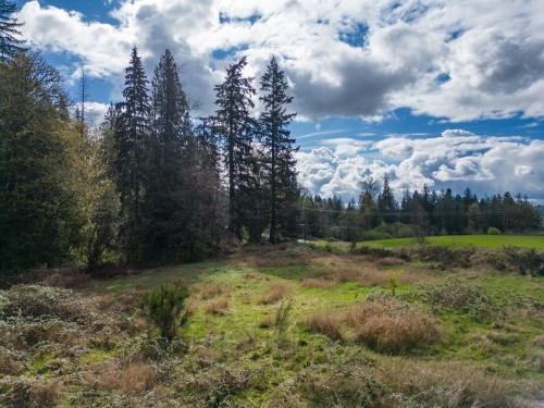 25655 Lougheed Highway, Maple Ridge, BC 