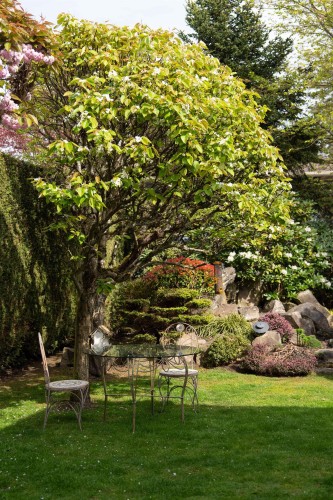 5686 Cornwall Place, Richmond, BC 