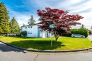 10531 Anahim Drive, Richmond, BC 