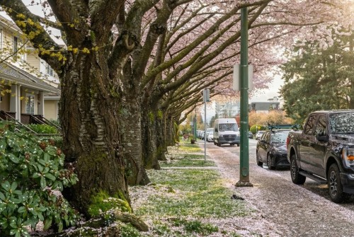 261 4Th Street E, North Vancouver, BC 