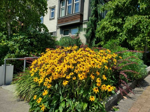 208-188 29 Street W, North Vancouver, BC - Outdoor