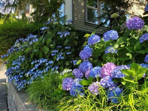 208-188 29 Street W, North Vancouver, BC - Outdoor