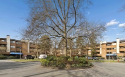 230-7297 Moffatt Road  Richmond, BC V6Y 3E6