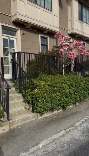 8562 Osler Street, Vancouver, BC 