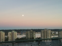 1105-1026 Queens Avenue New Westminster, BC V3M 6B2