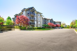 427-12258 224 Street Maple Ridge, BC V2X 8Y7