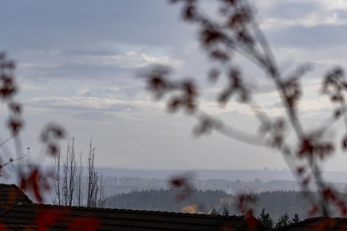 2517 Platinum Lane, Coquitlam, BC 