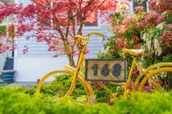168-145 King Edward Street  Coquitlam, BC V3K 5M6