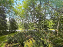 Lot 11 Bodega Beach Drive Galiano Island, BC V0N 1P0