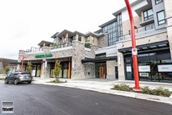 305-3220 Connaught Crescent North Vancouver, BC V7R 2V6