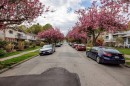 431 18Th Avenue E, Vancouver, BC 