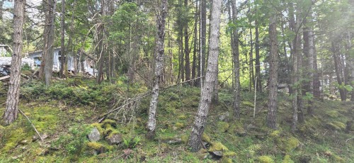242 Mariners Way, Mayne Island, BC 