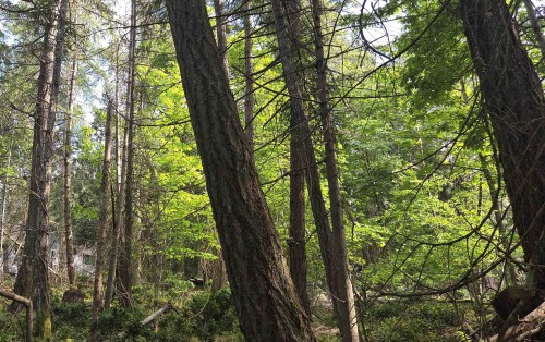 242 Mariners Way, Mayne Island, BC 