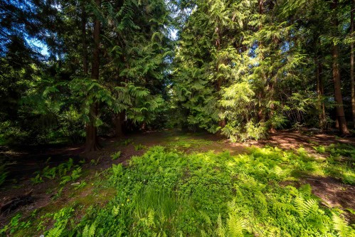4067 Sefton Street, Port Coquitlam, BC 