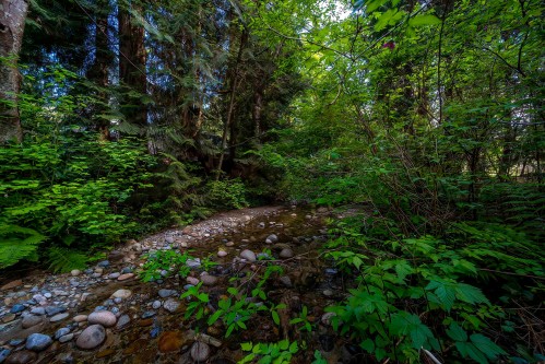 4067 Sefton Street, Port Coquitlam, BC 