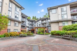 301-12020 207a Street Maple Ridge, BC V2X 8V2