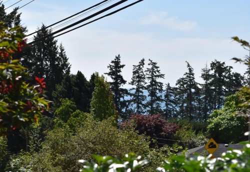 6166 Norwest Bay Road, Sechelt, BC - Outdoor