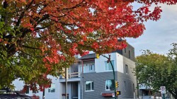 316-2250 1 Avenue E Vancouver, BC V5N 1B6