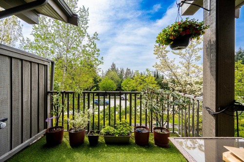6-3138 Dayanee Springs Boulevard, Coquitlam, BC 