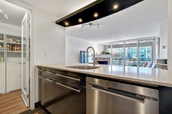 306-183 Keefer Place  Vancouver, BC V6B 6B9