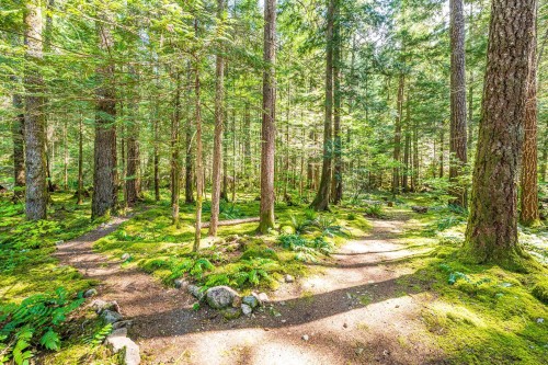4030 Midnight Way, Squamish, BC 