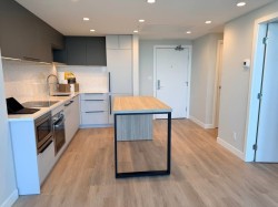 270X-567 Emerson Street Coquitlam, BC V3J 0M8