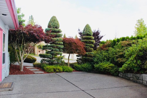 3022 Plateau Boulevard, Coquitlam, BC 