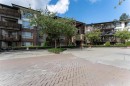 309-11665 Haney Bypass, Maple Ridge, BC 