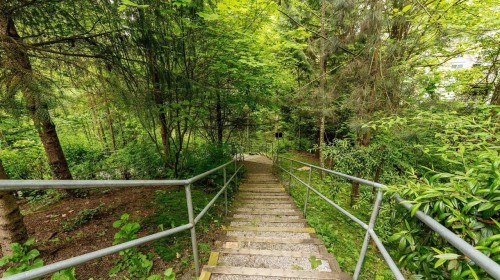 309-11665 Haney Bypass, Maple Ridge, BC 