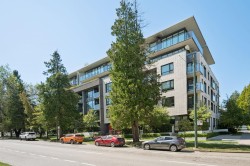 301-4427 Cambie Street  Vancouver, BC V5Z 2Y8