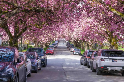 3123 7Th Avenue E, Vancouver, BC 