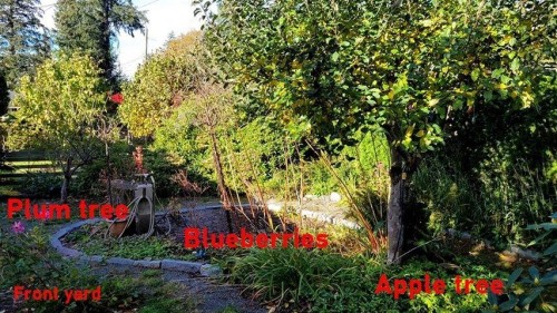 20530 Westfield Avenue, Maple Ridge, BC 