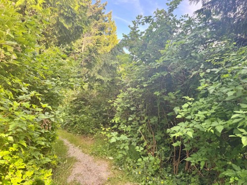 7065 Dale Road, Sechelt, BC 