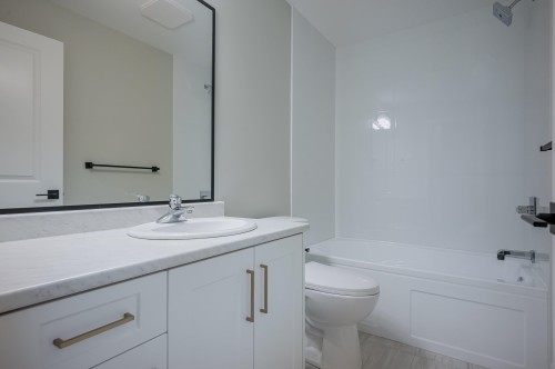 24461 Jenewein Drive, Maple Ridge, BC - Indoor Photo Showing Bathroom