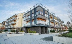 313-12070 227 Street Maple Ridge, BC V2X 9H2