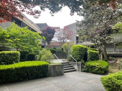 220-8460 Ackroyd Road  Richmond, BC V6X 3E9