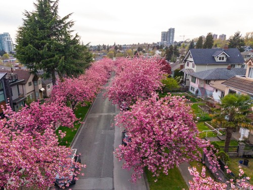111 61St Avenue E, Vancouver, BC 