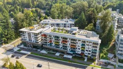 313-2015 St. Johns Street  Port Coquitlam, BC V3H 0N5