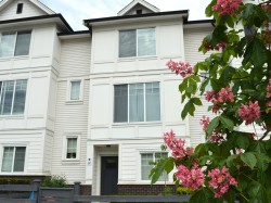 47-11272 240 Street  Maple Ridge, BC V2W 0J8