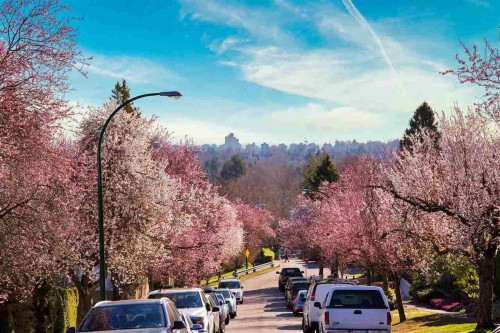 3770 13Th Avenue W, Vancouver, BC 