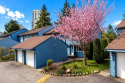 536 Lehman Place  Port Moody, BC V3H 3Z6
