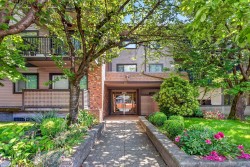 115-535 Blue Mountain Street  Coquitlam, BC V3J 4R2